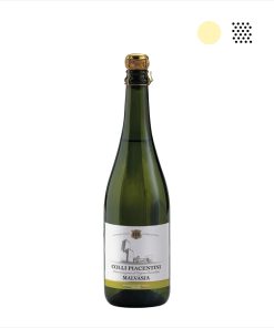 Alternative view of Malvasia Secca Viticoltori Arquatesi – Cantine Casabella